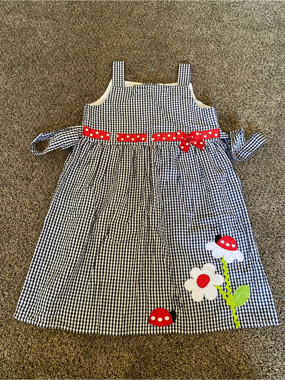 Girl’s Ladybug Gingham Dress